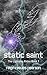 Static Saint: The Lightning Rider Book 1