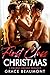 First Class Christmas: A Holiday MMF Menage Romance (Sharing Our Anniversary Book 5)