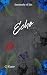 Echo: Workplace Dark Romanc...