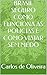 BRASIL SEGURO COMO FUNCIONA...