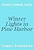 Winter Lights in Pine Harbor