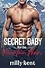 Secret Baby for the Mountain man