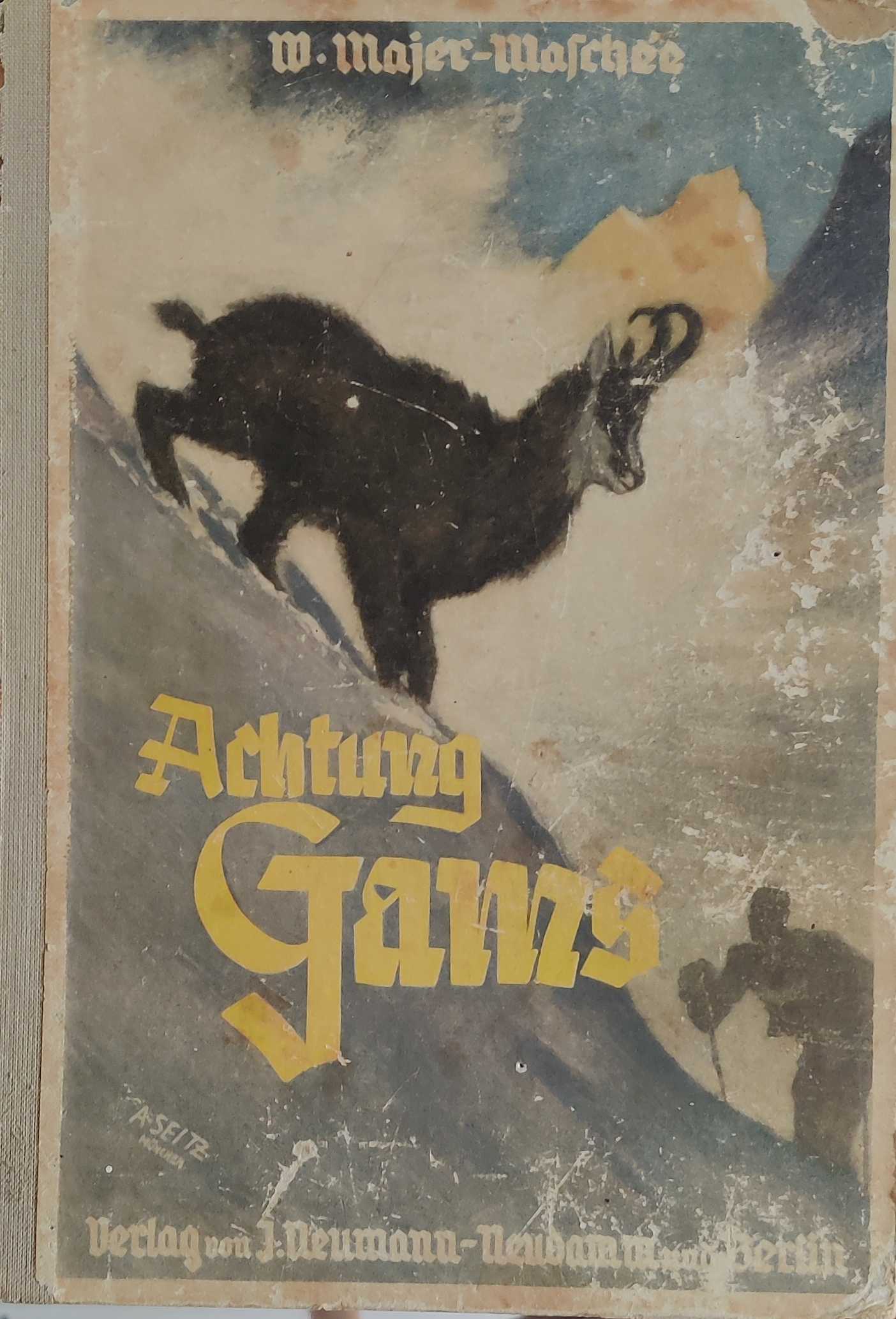Achtung Gams (Hardcover)