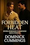 Forbidden Heat: S...