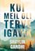 Kui meil oli terve igavik