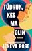 Tüdruk, kes ma olin