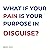 What If Your Pain Is Your P...