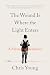 The Wound Is Where the Light Enters: A Memoir of Resilience