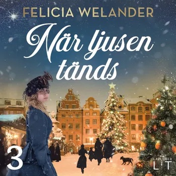 När ljusen tänds: Tredje advent (När ljusen tänds i Gamla stan, #3)