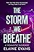 The Storm We Breathe