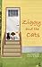 Ziggy and the Cats by Donna Hicks