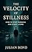 The Velocity of Stillness: ...