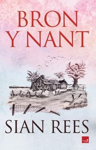 Bron y Nant (Paperback)