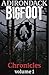 Adirondack Bigfoot Chronicl...