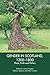 Gender in Scotland, 1200-1800 by Janay Nugent