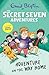 Adventure on the Way Home (The Secret Seven Adventures Book 1)