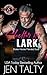 Shelter for Lark (Special Forces: Operation Alpha) (Broken Heroes Mended Souls Book 3)