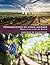Abiding in the Vine / Unity - Workbook (& Leader Guide) - Por... by Richard Case