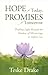 Hope for Today, Promises fo...