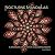 Nocturne Mandalas: A Modern...