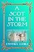 A Scot in the Storm: A delightful emotional timeslip clean romance (A Scots Through Time Romance Book 6)