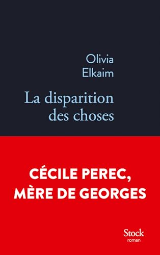 La disparition des choses (French Edition)