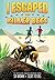 I Escaped the Killer Bees (...