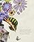 Chocolate Cosmos, String of Pearls (Hurtwood Artist & Gallery Series)
