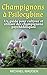 Champignons à Psilocybine: ...