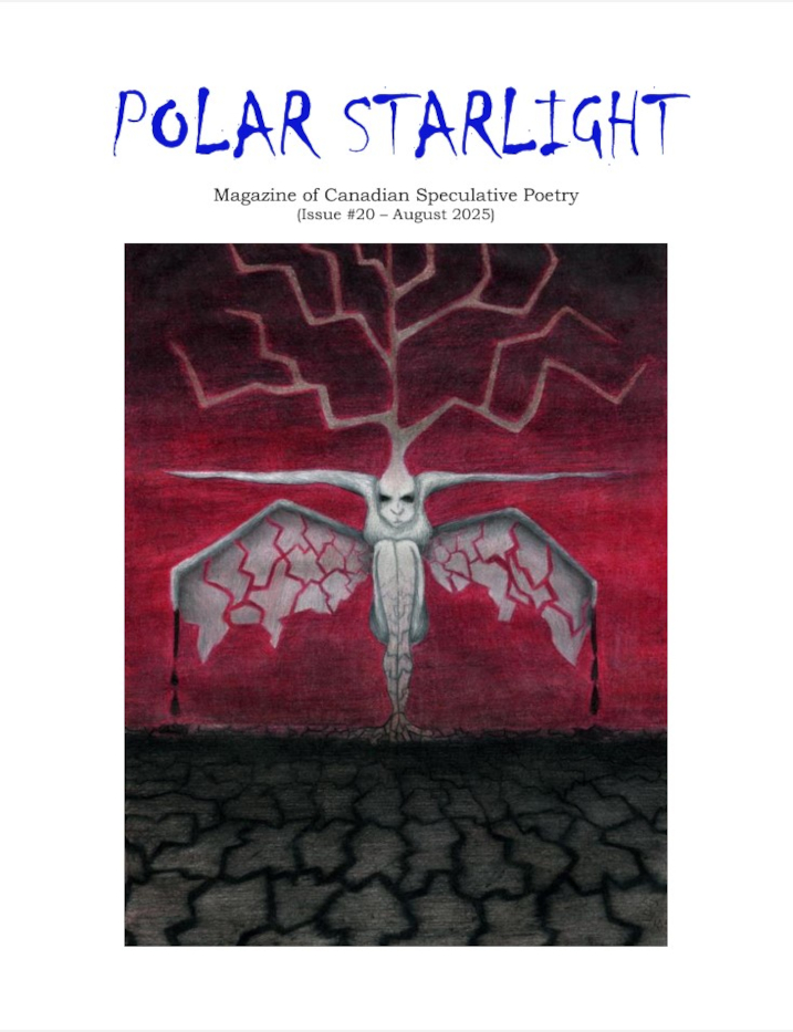Polar Starlight, Issue 20, August 2025