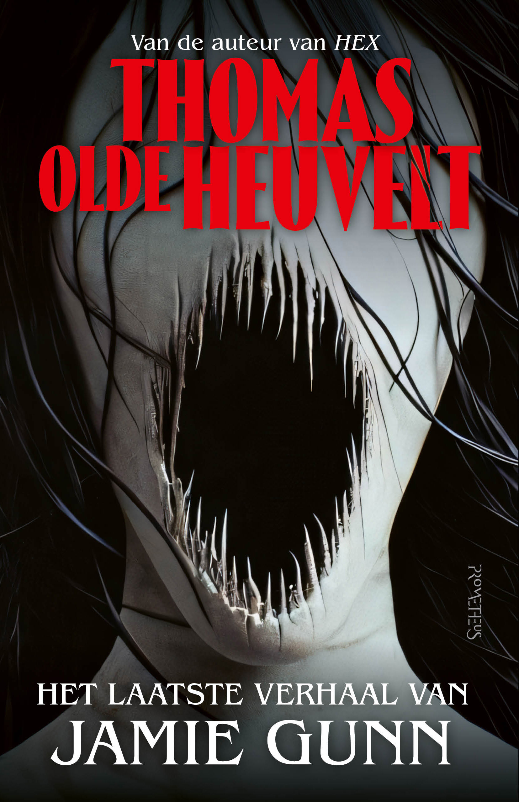 Het laatste verhaal van Jamie Gunn (Paperback)