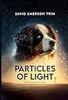 Particles of Light by David Emerson Trim