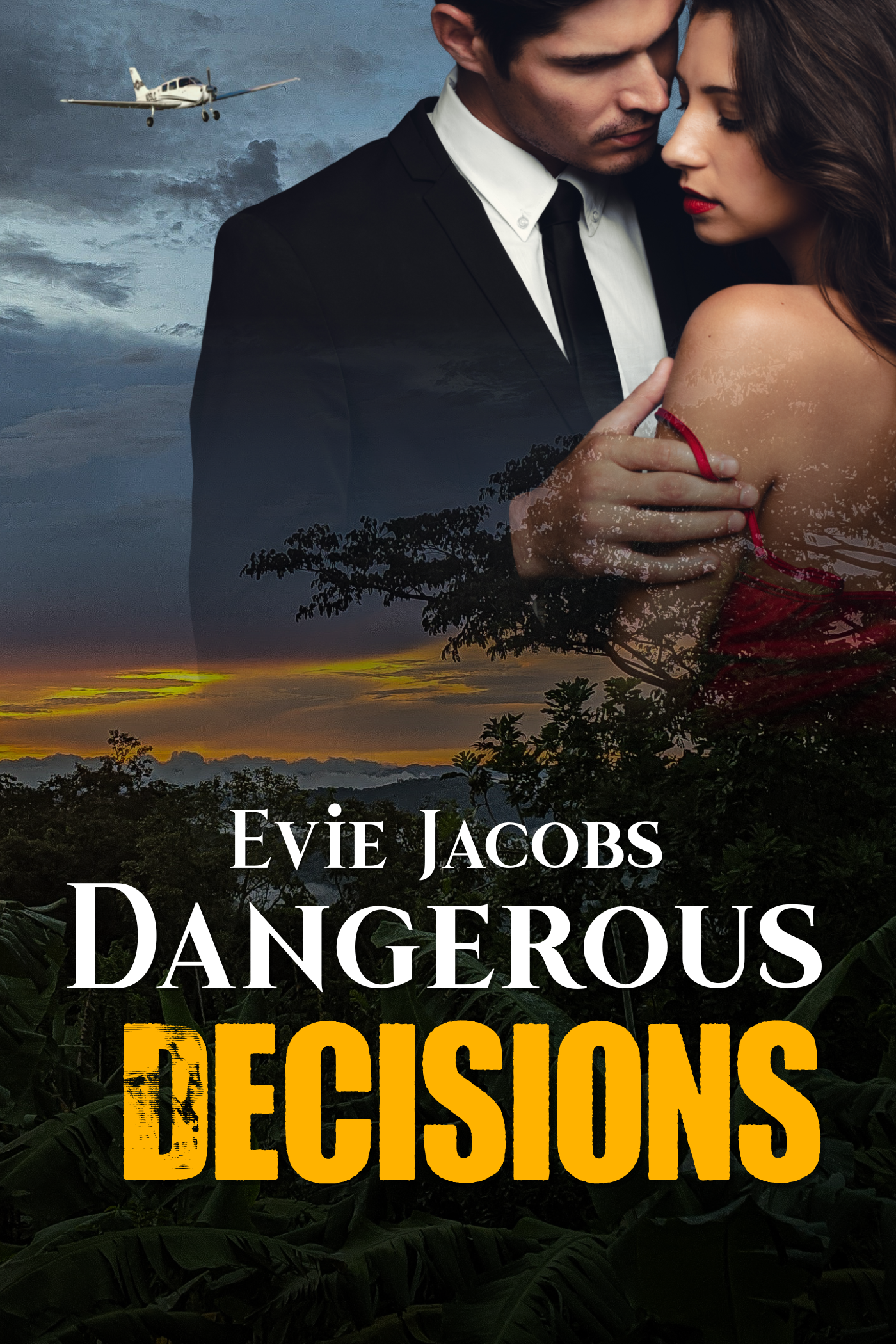 Dangerous Decisions (A Dangerous Skies Adventure, #2)