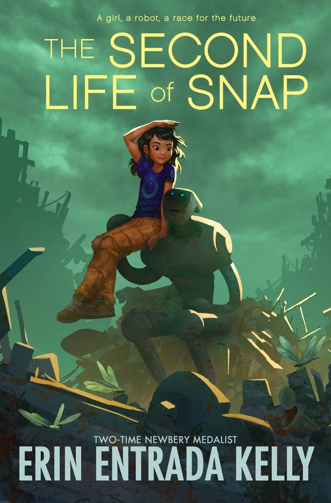The Second Life of Snap (Hardcover)