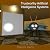 Trustworthy Artificial Inte...