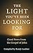 The Light You've Been Looki...