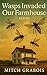 Wasps Invaded Our Farmhouse by Mitch Grabois
