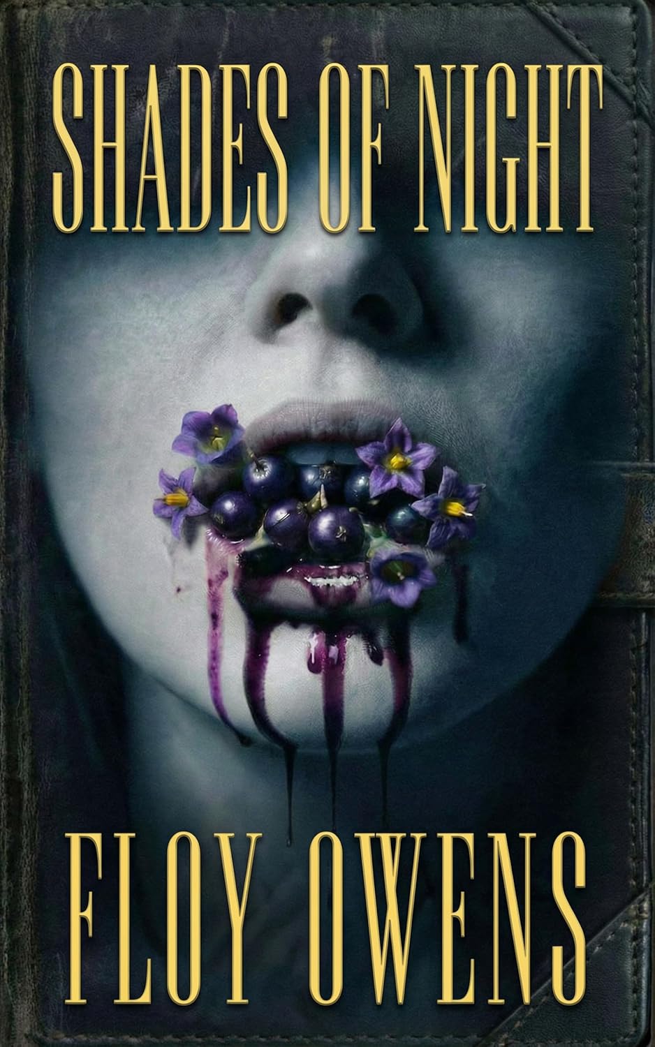 Shades of Night: A Dark Psychological Thriller Where Captivity Becomes Warfare (Kindle Edition)
