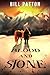 Blood And Stone: A Western ...