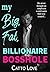 My Big, Fat, Billionaire Bo...