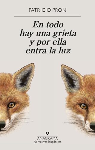 En todo hay una grieta y por ella entra la luz (Paperback)