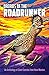 Dreams of the Roadrunner - An Anthology of Short Comics from ... by Sarah Anderson