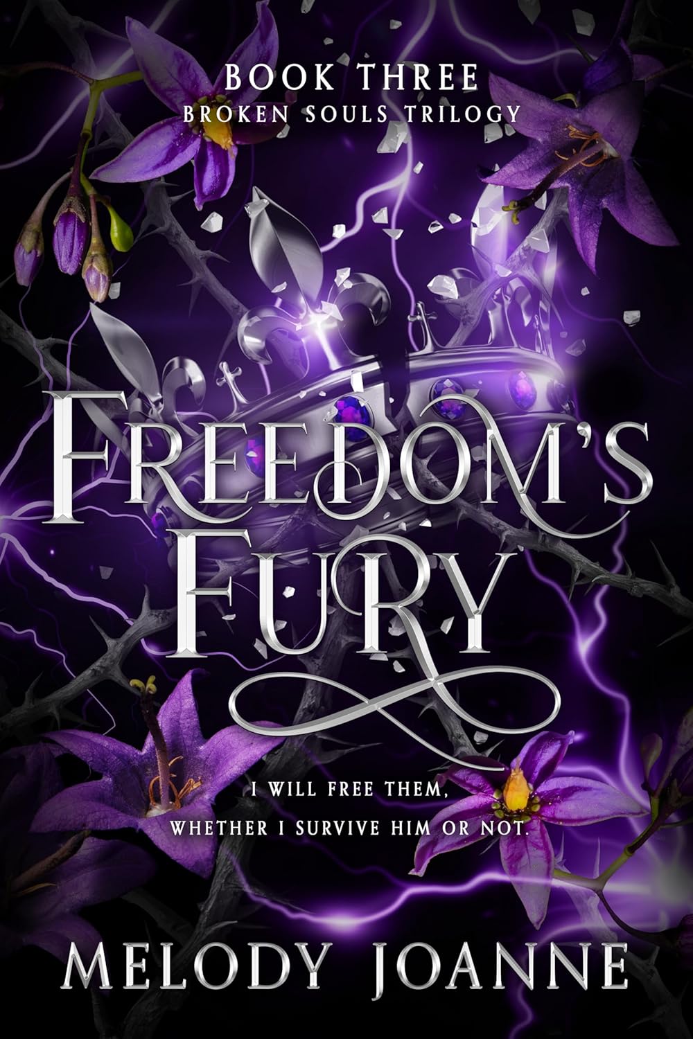 Freedom's Fury (Broken Souls Trilogy #3)