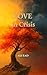 Love in Crisis by Ali Rad (علی راد)