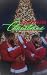 A Deveaux's Christmas by SUNSHINES URBAN NOVELS