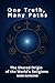 One Truth, Many Paths: The Shared Origin of the World's Religions
