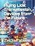 Flying Lids: Transmission Devices from the Future (Lessons from Zelda) (Italian Edition)