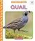 Quail
