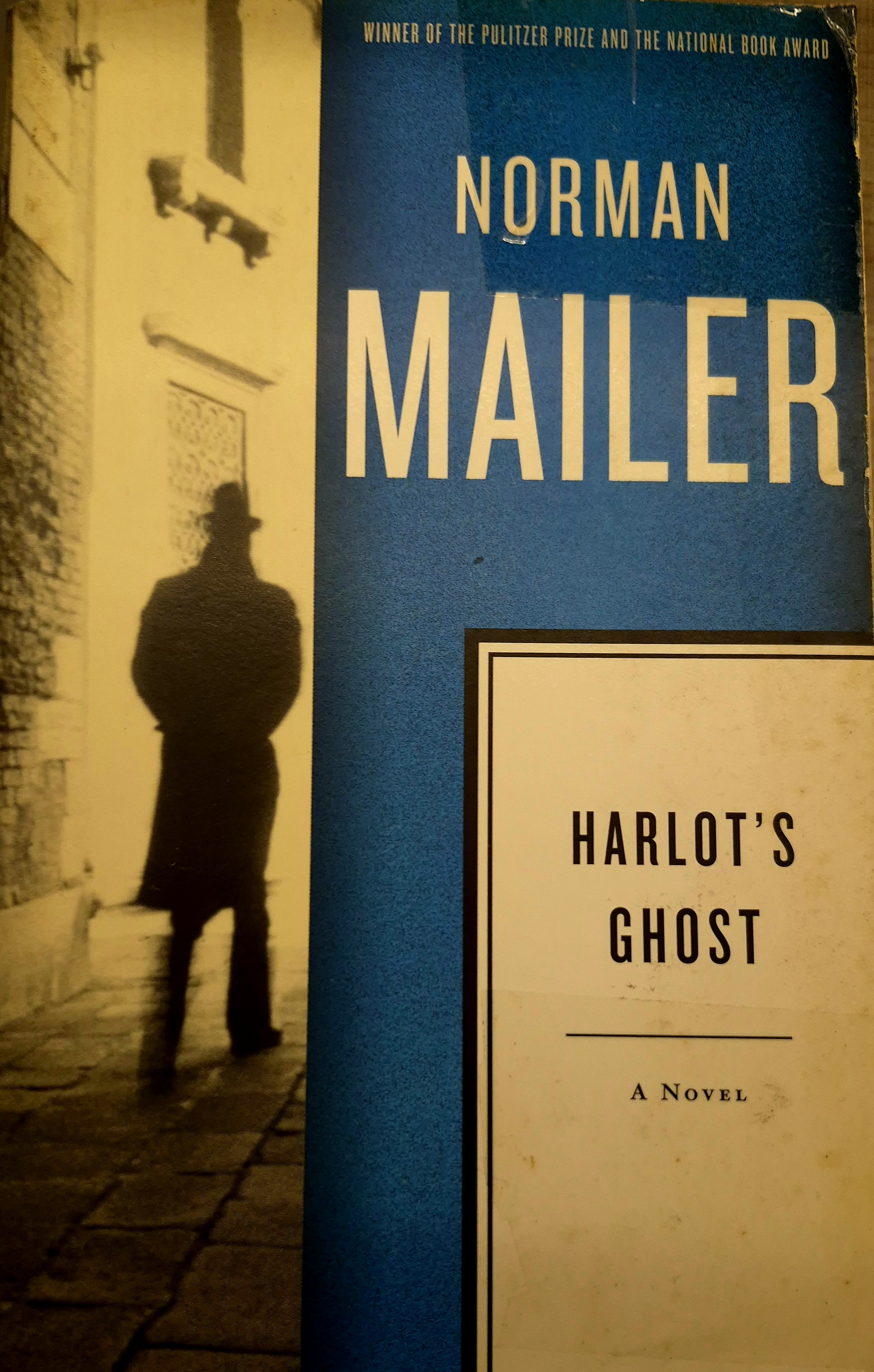 Harlot's Ghost