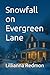 Snowfall on Evergreen Lane by Lillianna Redmon